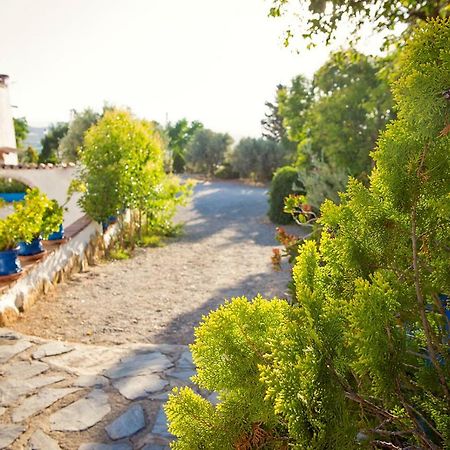 Cuevas De Rolando Guest House กวาดิกซ์ ภายนอก รูปภาพ